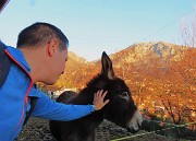 Monte San Martino (1080 m) ad anello da Rancio (Lecco)– 16dic24 -  FOTOGALLERY